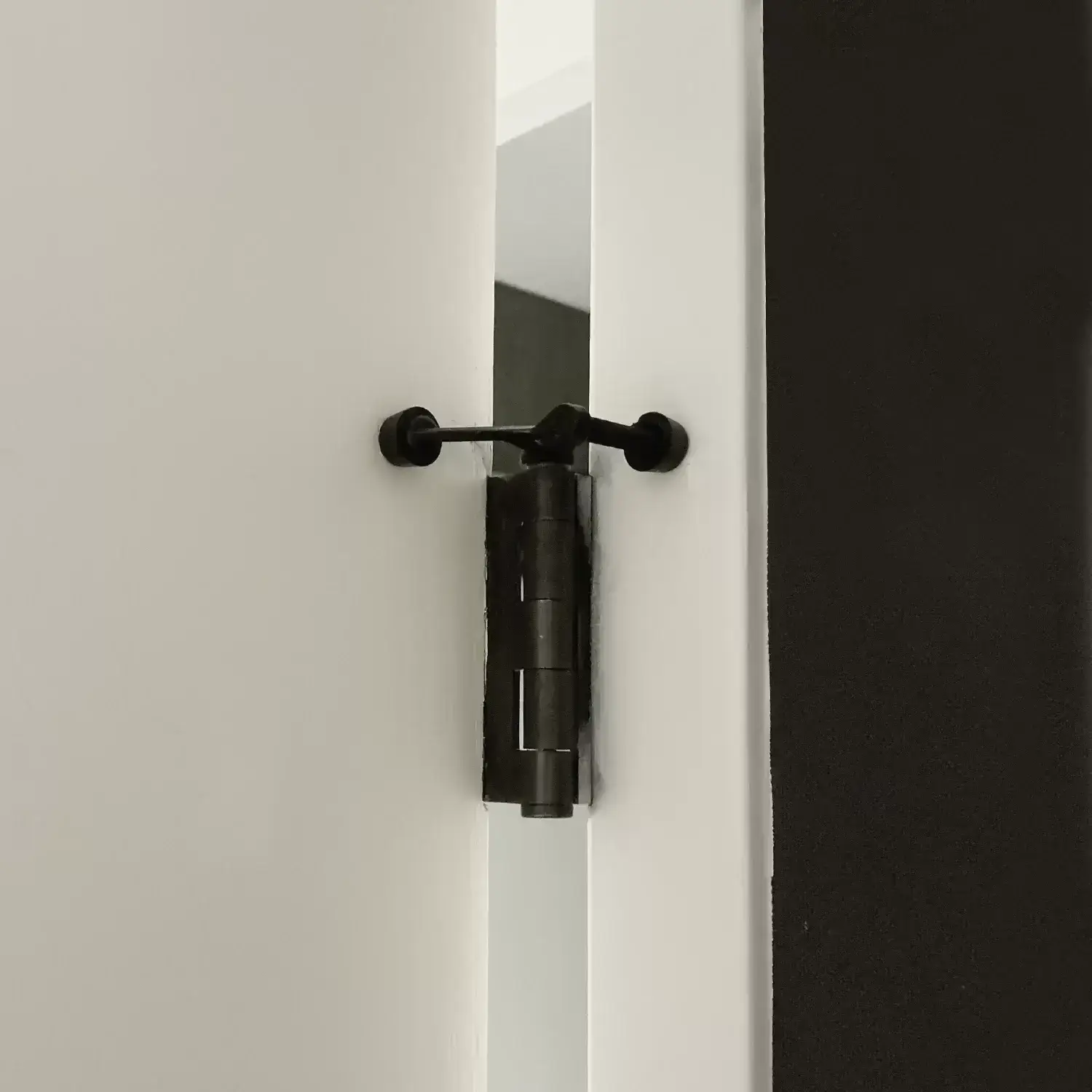 Door stopper hinges