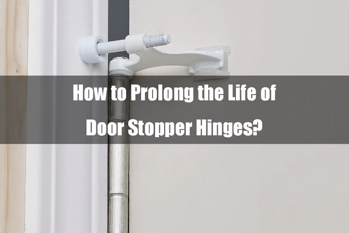 Choose Quality Door Stopper Hinges